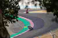 Laguna-Seca;event-digital-images;motorbikes;no-limits;peter-wileman-photography;trackday;trackday-digital-images